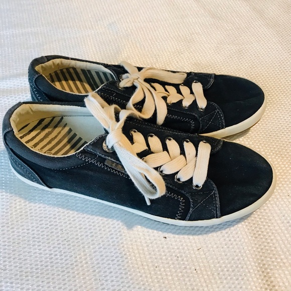 Taos navy blue Canvas Sneakers with White Laces - Picture 5 of 9